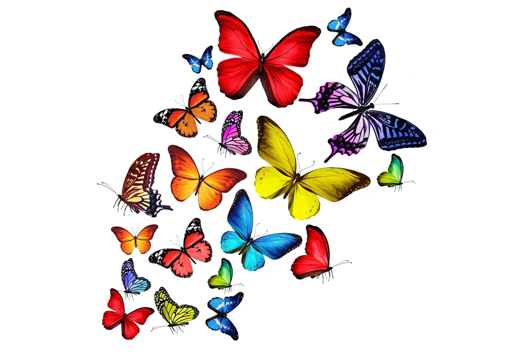 Download Wallpapers Colorful, Rainbow, Butterflies, 3d, Colorful ...
