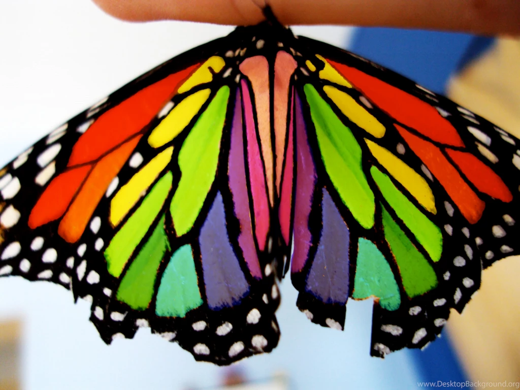 Rainbow Butterfly By Ziara13 On DeviantArt