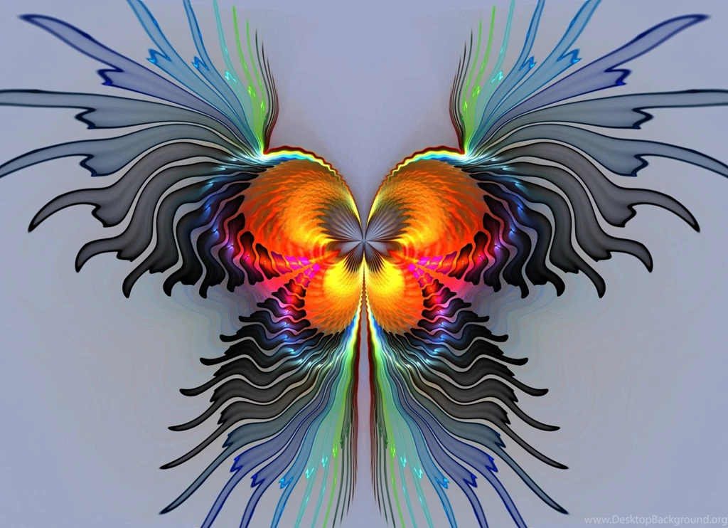 Real Rainbow Butterflies Bing Images