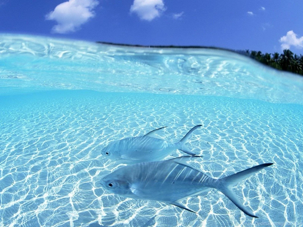 Thailand Exotic Beach Wallpapers Pictures