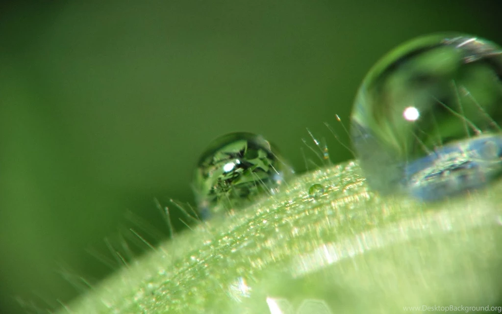 20 Water Drops Wallpapers