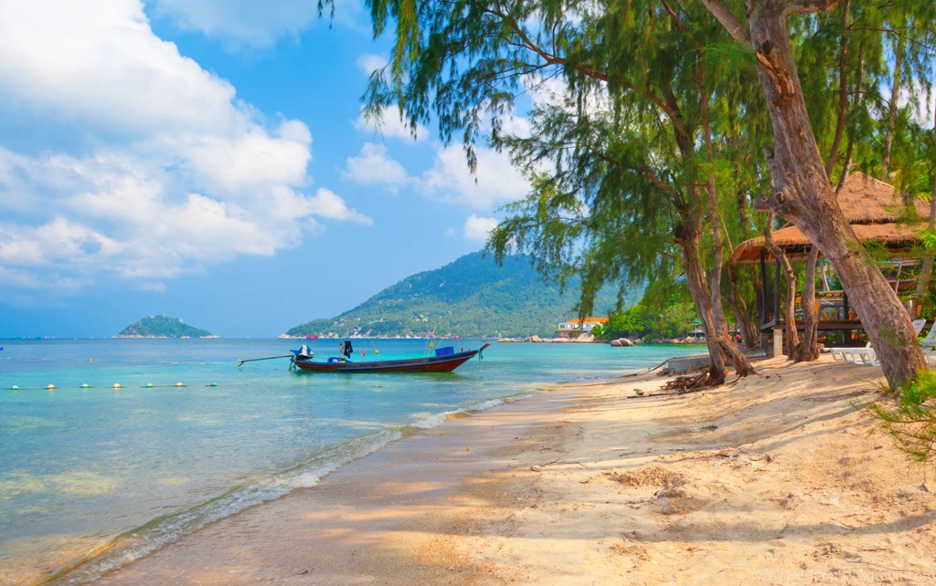 Thailand Nature Boat Beach Koh Tao Beautiful Landscape Trees ...