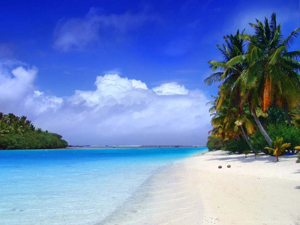 Palm Trees On A Beach In Phuket, Thailand Wallpapers And Images ...