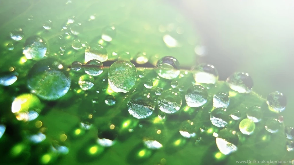 Cool Water Drop Wallpapers 4409 1920x1080 Px ~ WallpaperFort.com
