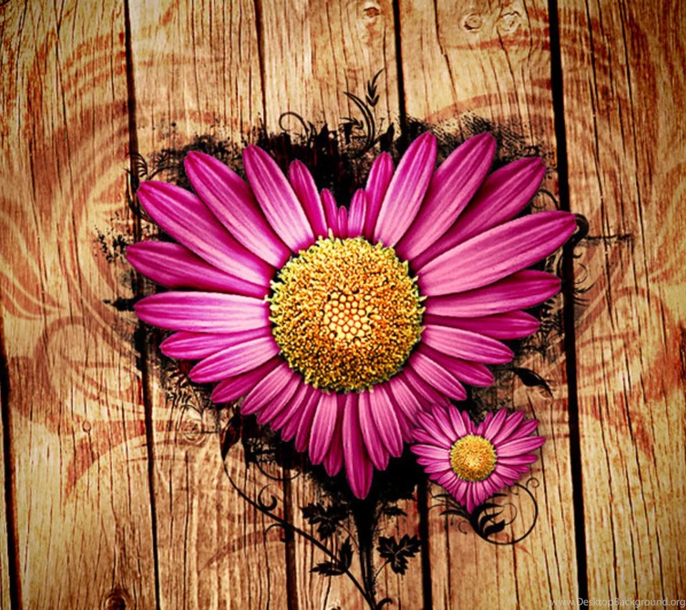Pink Daisy Love Android Wallpapers 960x854 Hd Wallpapers For Phone