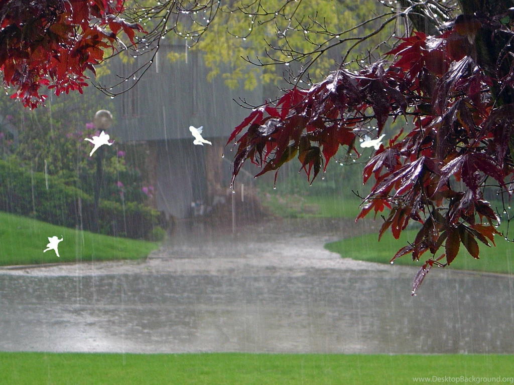 Beautiful Rainy Day Wallpapers
