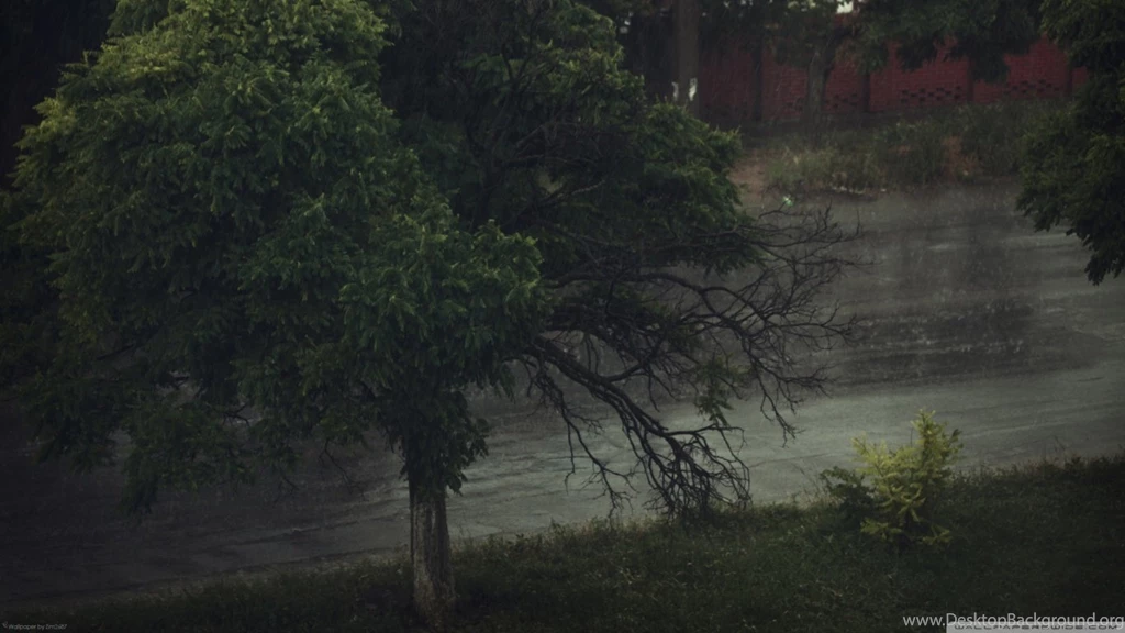 Rainy Day HD Desktop Wallpapers : High Definition : Fullscreen : Mobile
