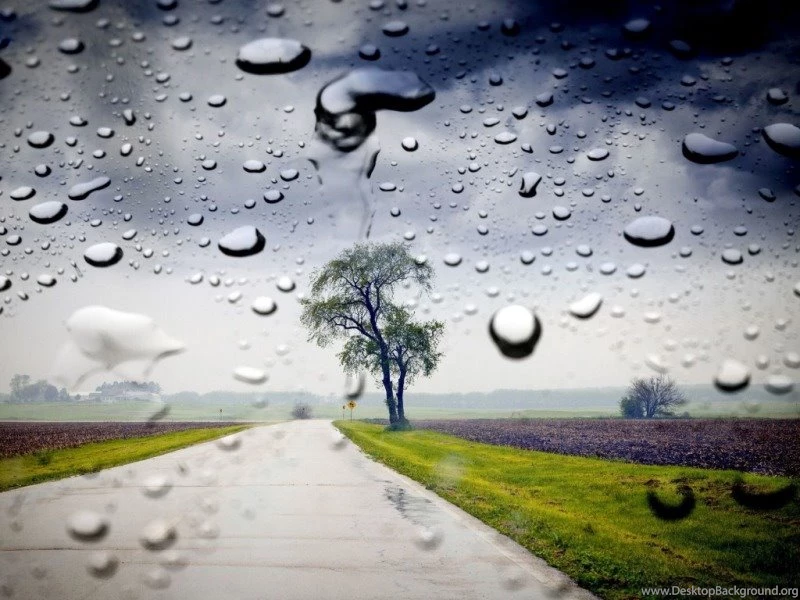 Rainy Day Wallpapers