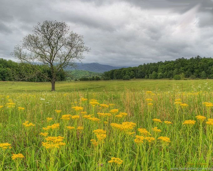 Rainy Day Background Images For PC ( Computer )