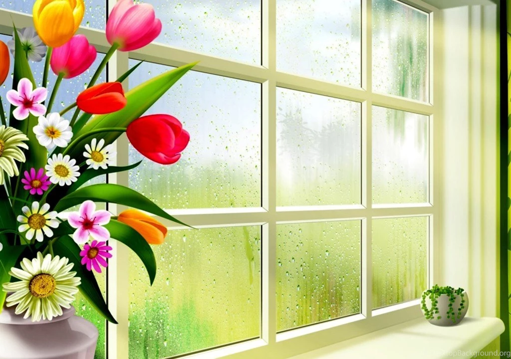 Rainy Day Wallpapers Hd 24337 HD Wallpapers Expert