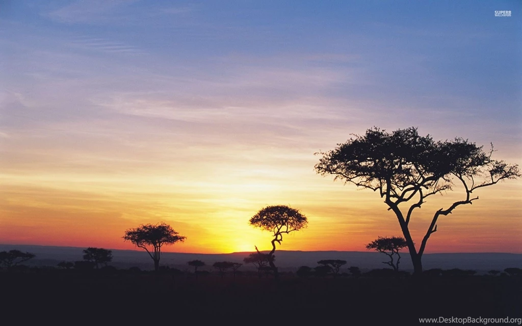 1680x1050 Dark Trees Nice Sunset Safari Desktop PC And Mac Wallpapers