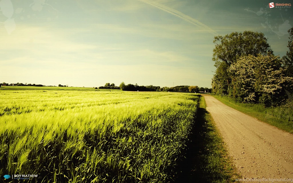 1920x1200 Nice Summer Day Desktop PC And Mac Wallpapers