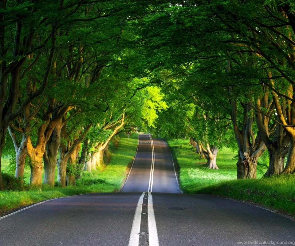 3d Wallpapers For Android