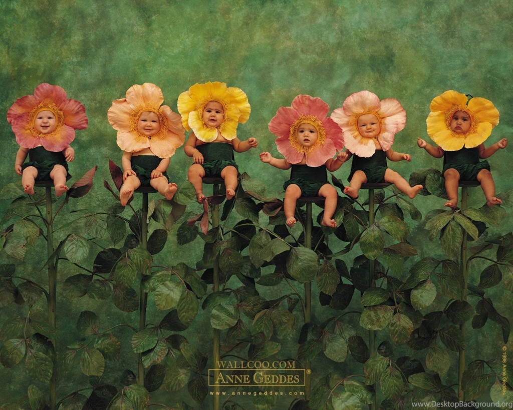 Wallpaper: Hd Wallpapers Anne Geddes