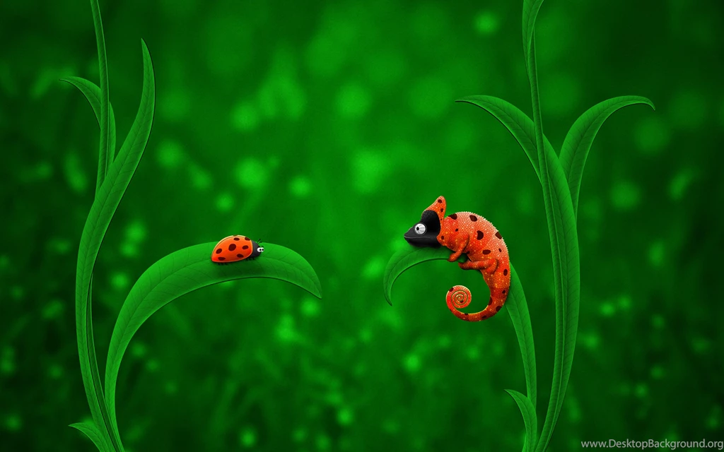 Chameleon and Ladybug Funny HD wallpaper_2880x1800.jpg