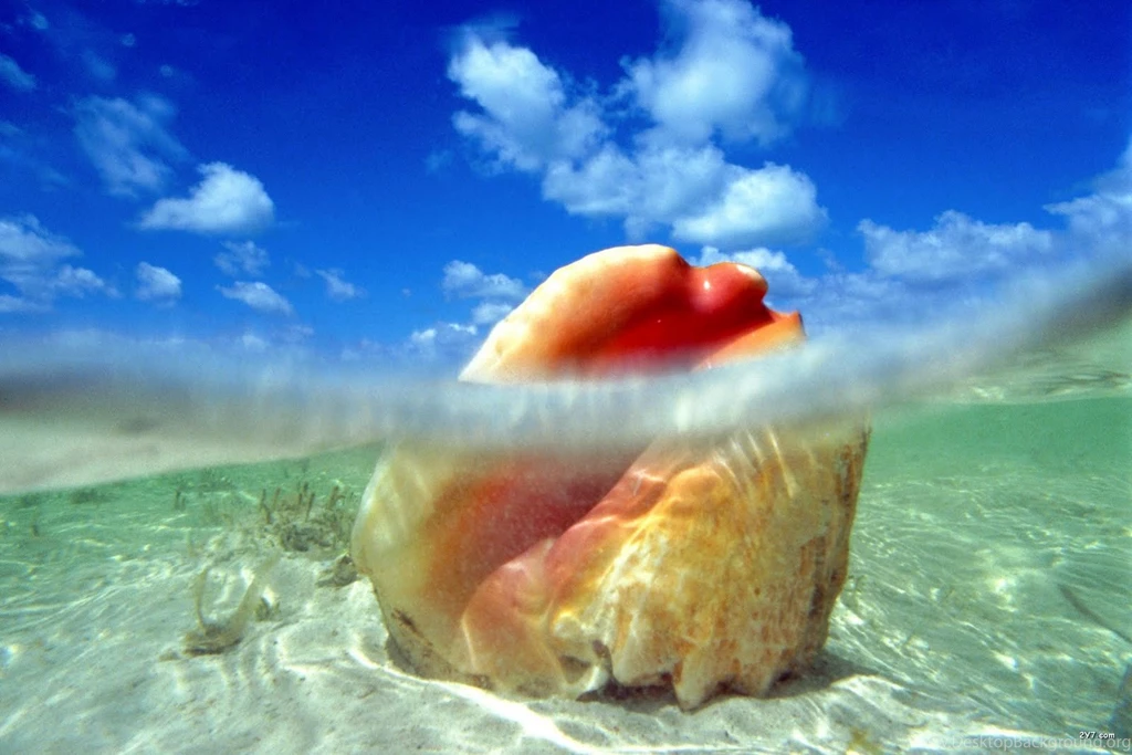 High Resolution Wallpapers