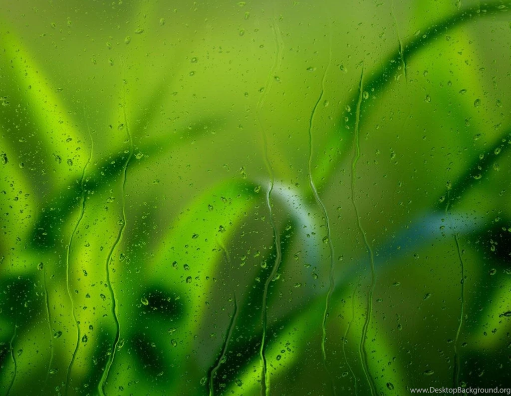 Beautiful Monsoon Wallpapers 1280x991 IWallHD Wallpapers HD