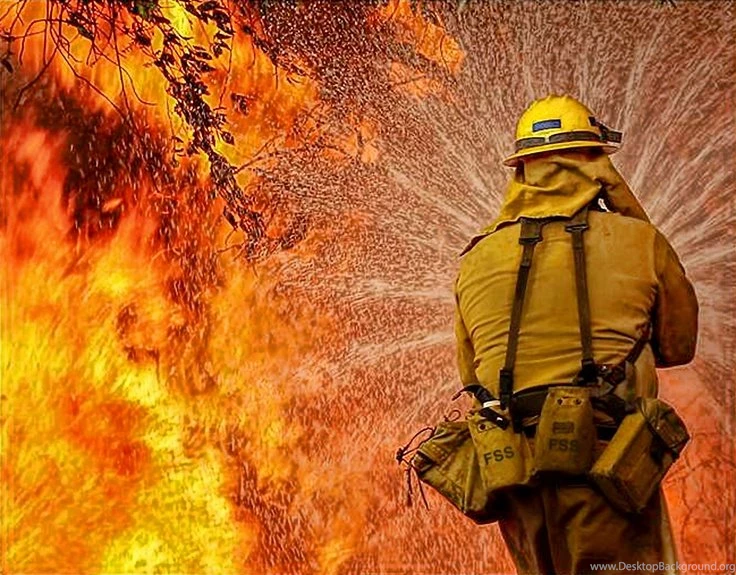 Wildland Firefighting, ESS Innerzone III Goggle.