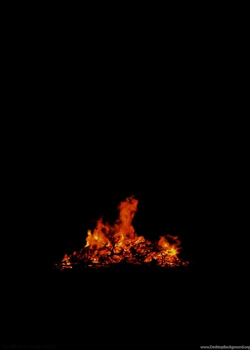 Wallpapers Gif