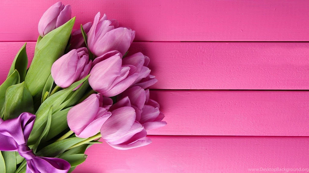 Best Of Tulip HQ Wallpapers