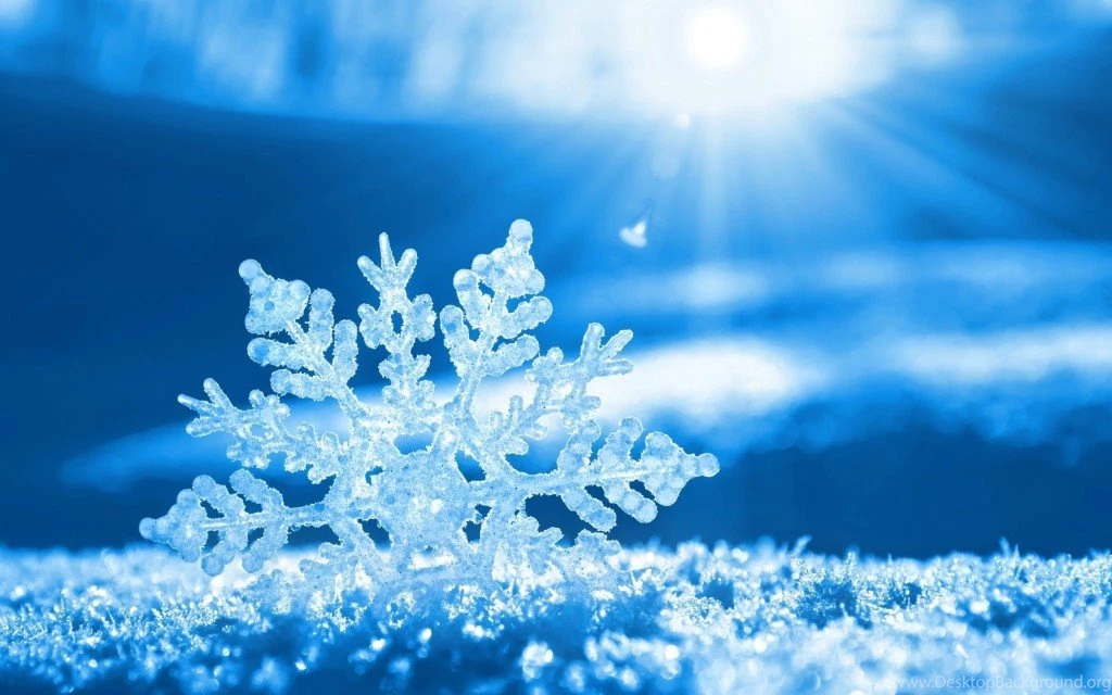 Snow Crystal Photography Epic Wallpapers