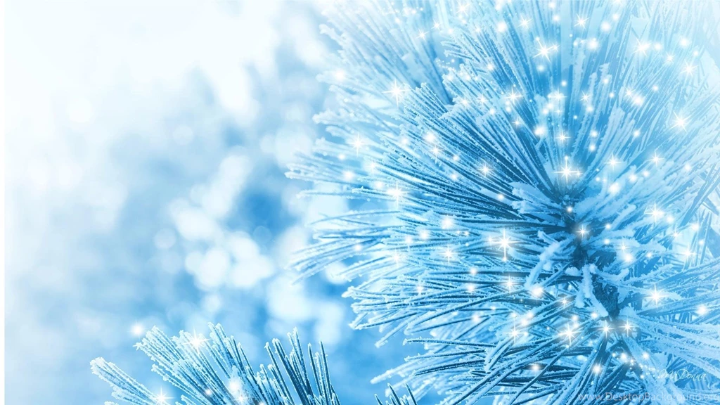 Winter Ectasy >> HD Wallpaper, Get It Now!