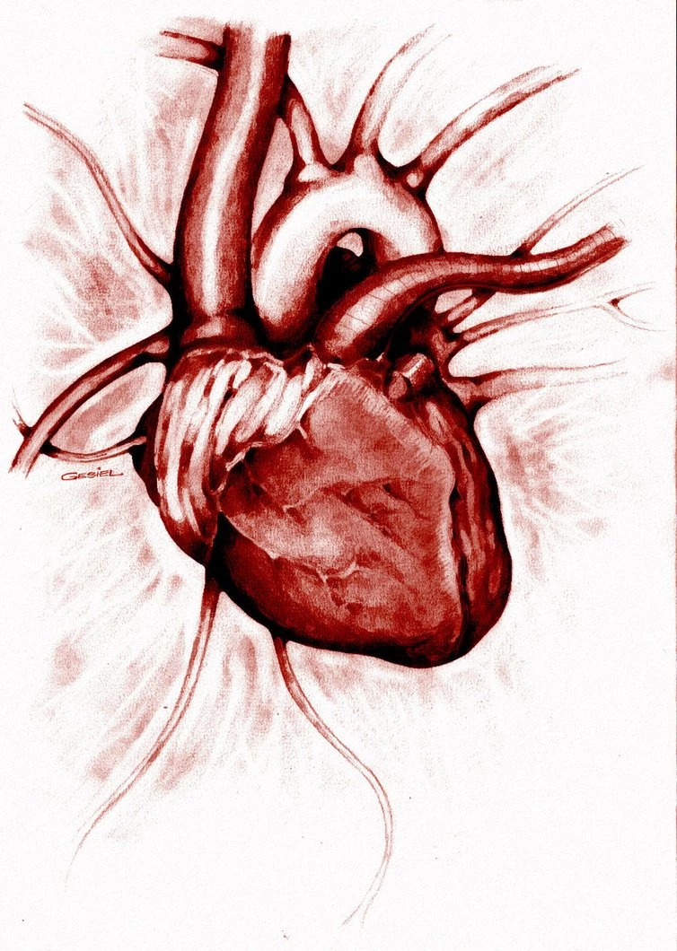 HD Heart Wallpapers Love Wallpapers Car,Disney Cartoon Wallpapers ...