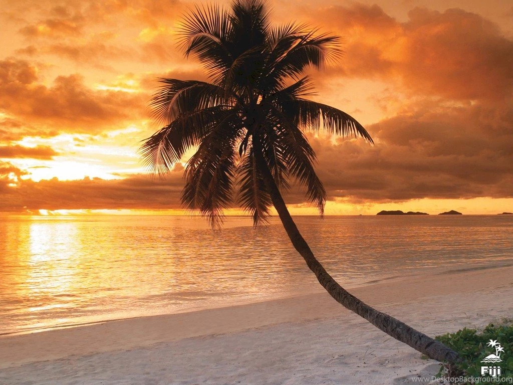 Fiji : About Fiji Fiji Extras Downloads