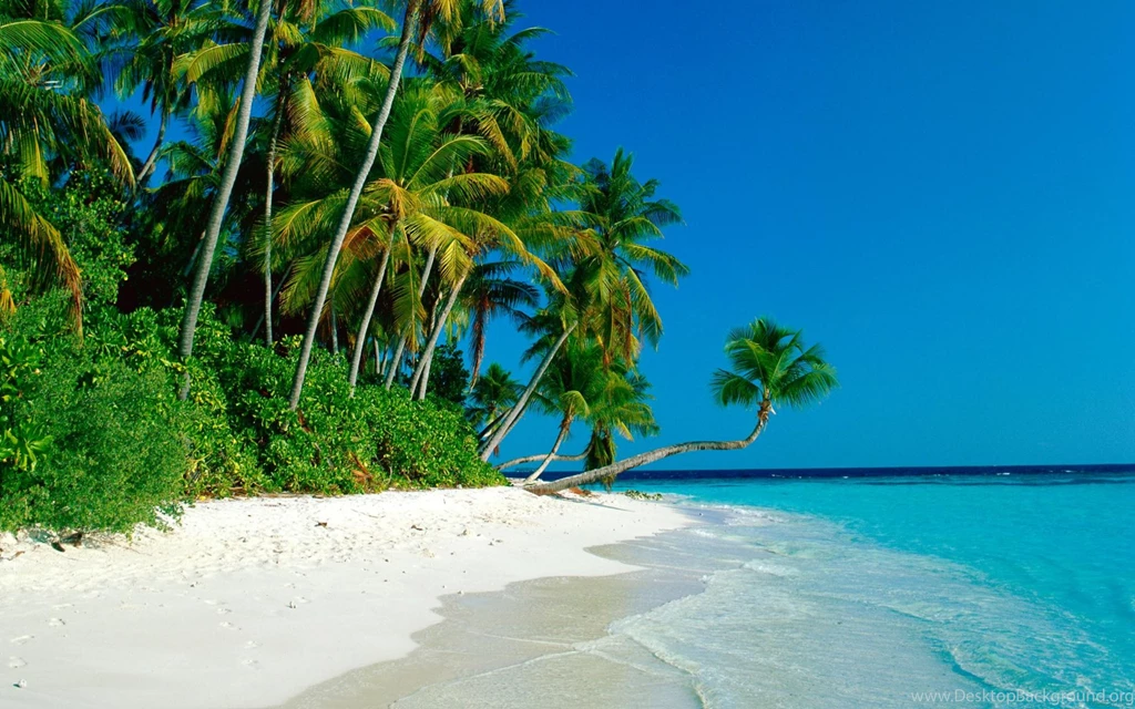 Beaches