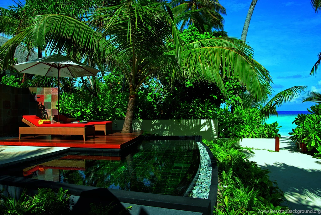 Plunge Pool In Fiji South Pacific (