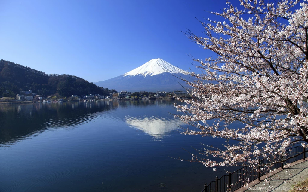 MOUNTAIN FIJI IN JAPAN WALLPAPER (