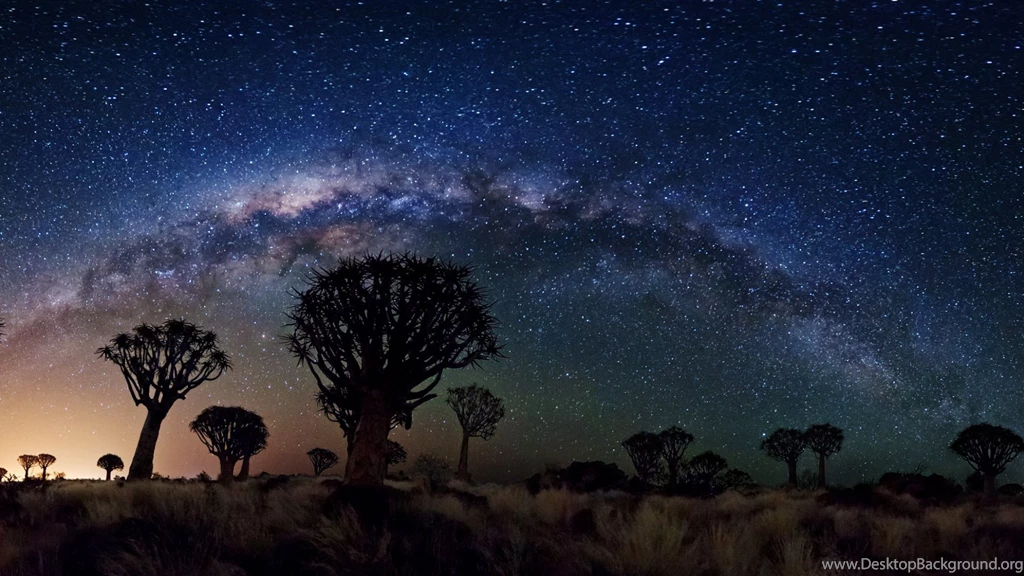 Milky Way Over Quiver Tree Forest, Space, Nasa, Galaxies, Stars ...