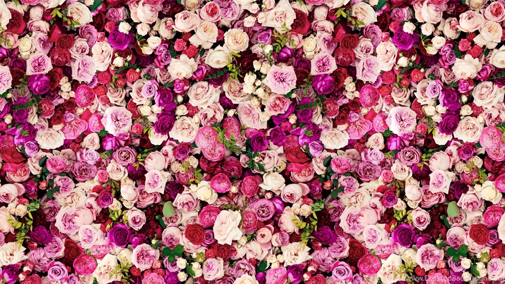 KateSpade_Background_Repeat.png