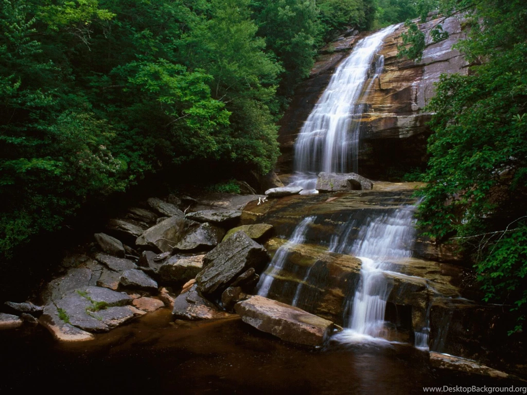 Nature Forest Wallpapers High Definition Uncalke.com