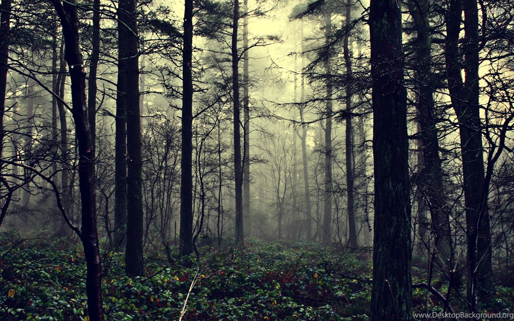 Nature Archives Page 2 Of 8 WideWallpaper.info