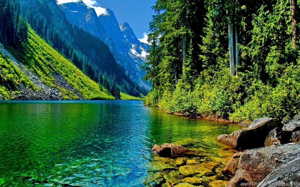 Free Nature River Desktop Wallpapers Zibrato