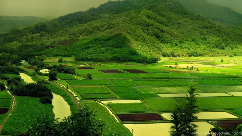 Inspirements: Beautiful Landscape Senries For PC Backgrounds