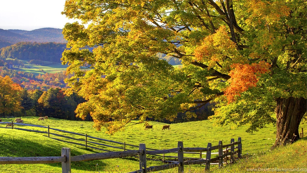 Landscape beautiful as dream.jpg