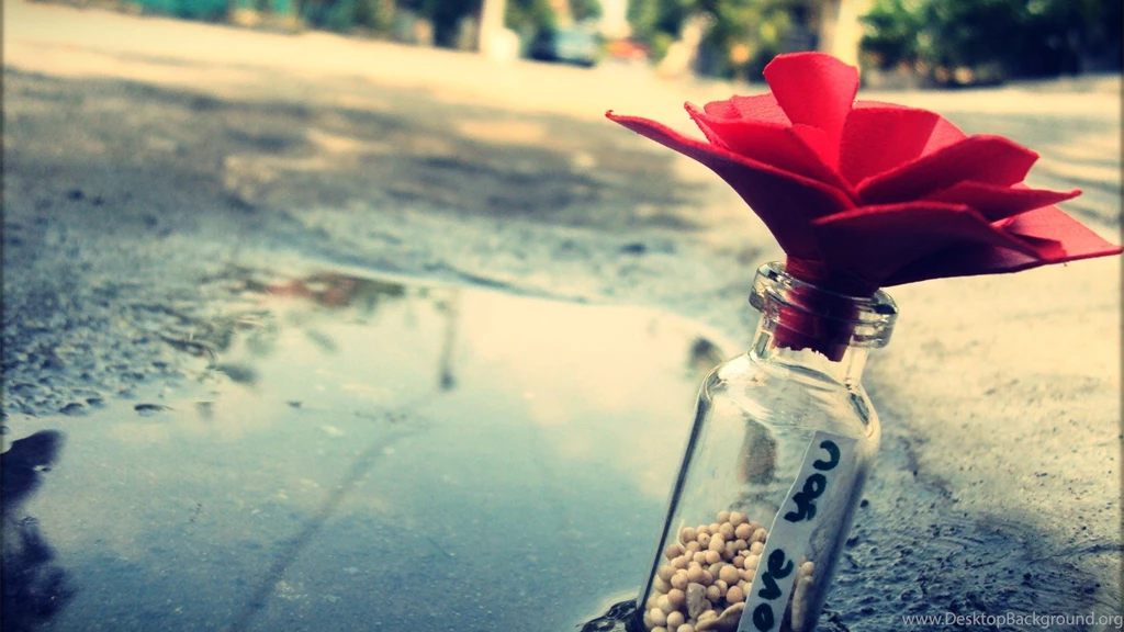 421 Love HD Wallpapers