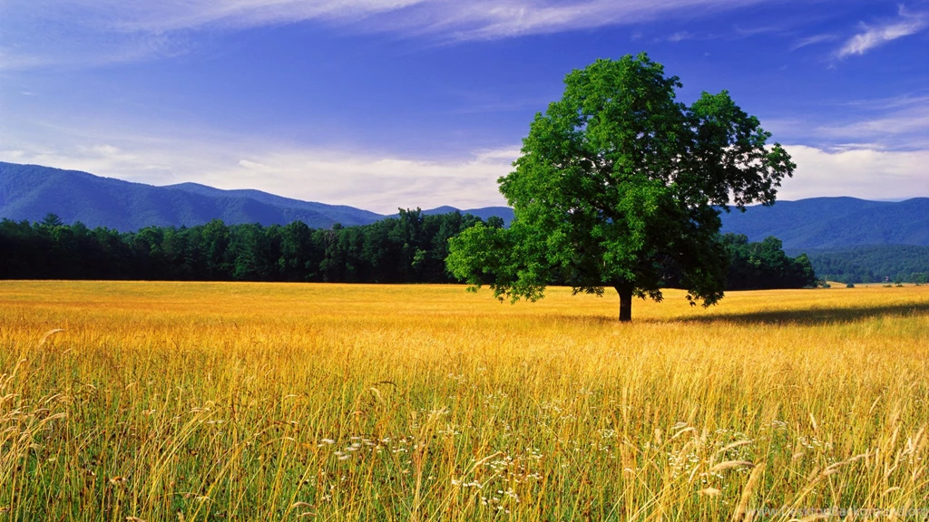 20 Nature Landscape Beautiful Photos Best Desktop Landscape Hd ...