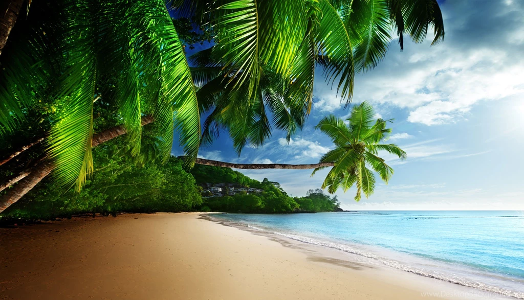 Tropical Beach Wallpapers HD WallpapersHD Wallpapers