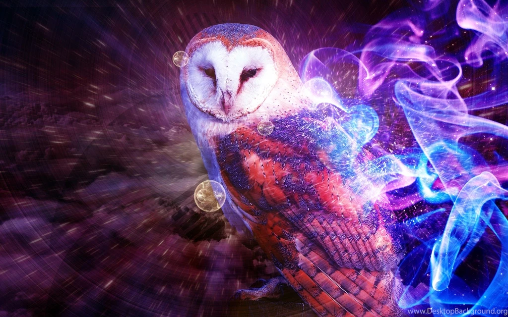Owl Wallpaper Backgrounds