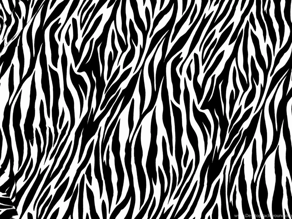 Wallpapers Zebra Pattern Skin Backgrounds Pictures 4042