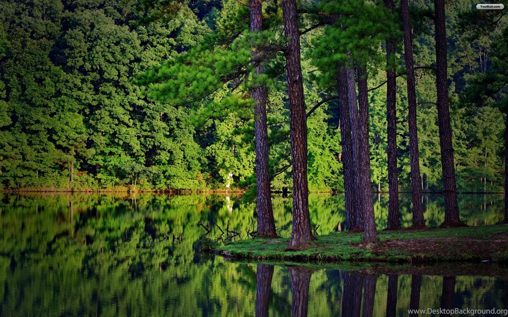 YouWall   Lake And Forest Wallpapers   Wallpaper,wallpapers,free ...