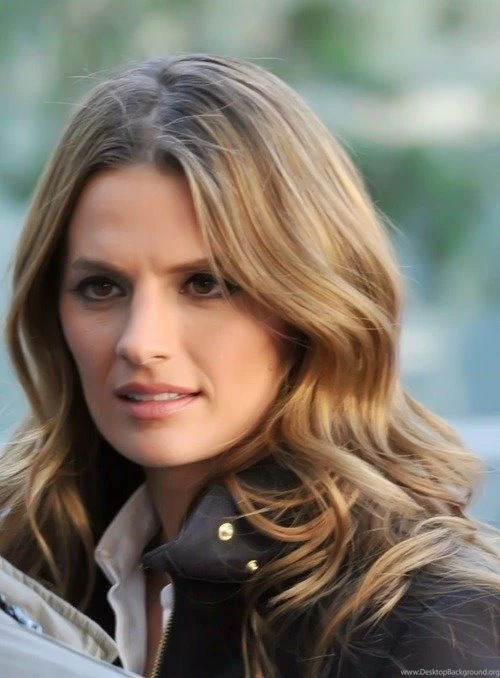 Stana Katic Castle Wallpaper.