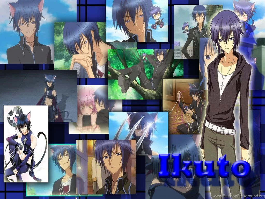 Ikuto   Ikuto Tsukiyomi Wallpapers (27889368)   Fanpop