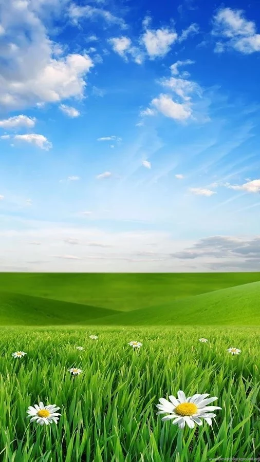 Live wallpapers for android nature 4.jpg