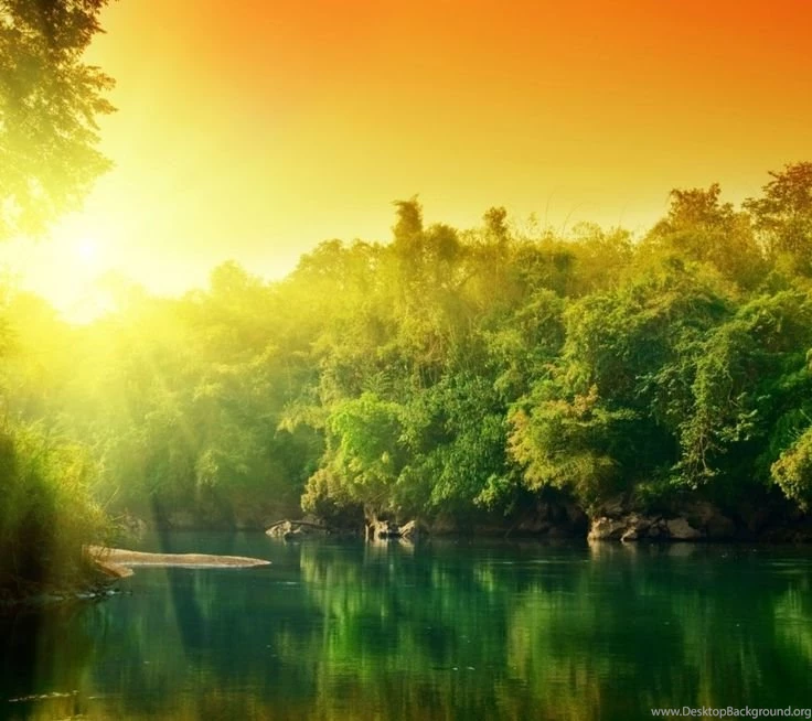Hd Nature Wallpapers For Android Phone Hd Images 3 HD Wallpapers ...