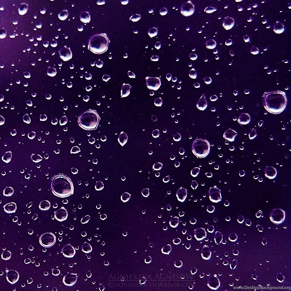 Purple Rain Wallpapers Bing Images
