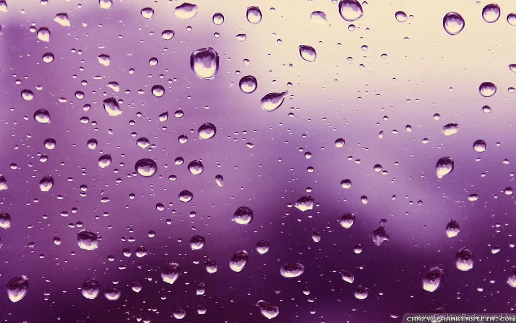 Romantic Rain Wallpapers Crazy Frankenstein